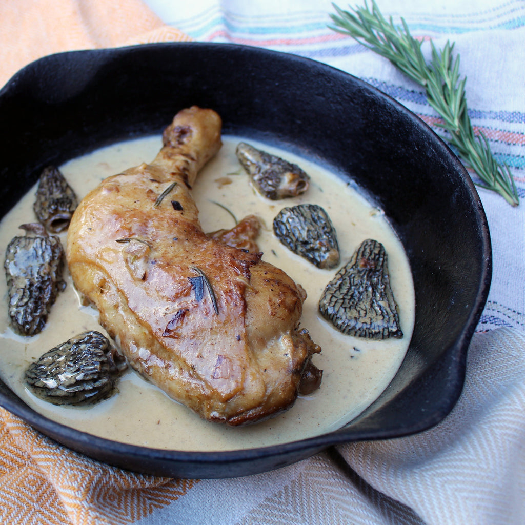 Chicken with Morels and Creamy Wine Sauce