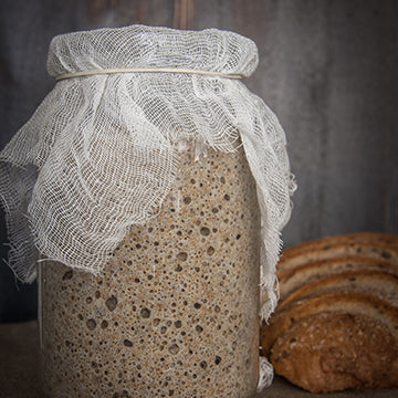 Ferments